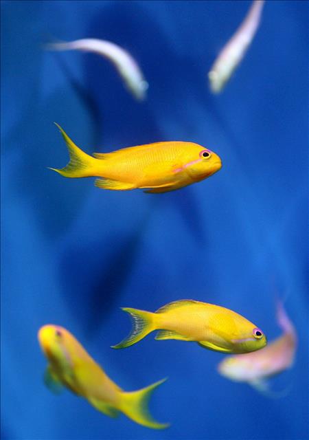 clima-oceanoun-circulo-vicioso