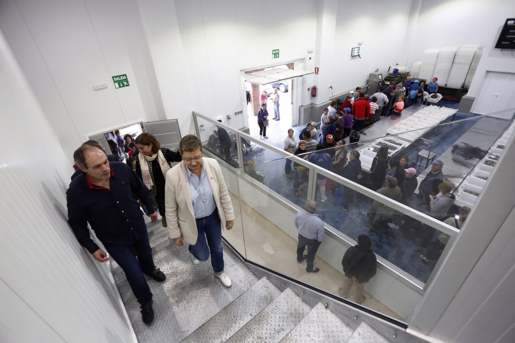 a-lonxa-do-grove-foi-a-primeira-rula-de-galicia-en-volume-de-descargas-de-centola-e-en-facturacion-por-esta-especie-en-2014